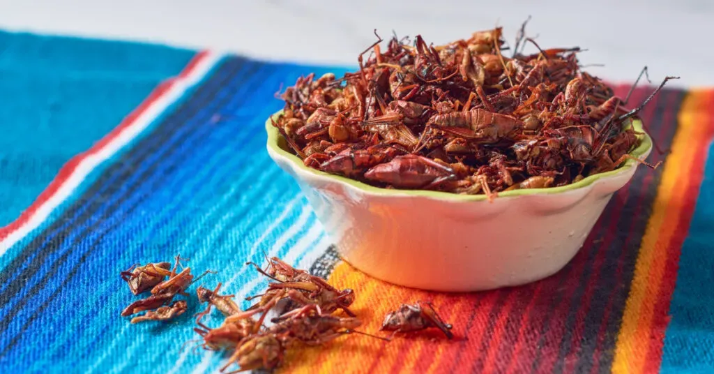 Ingredientes frescos de la cocina ancestral oaxaqueña