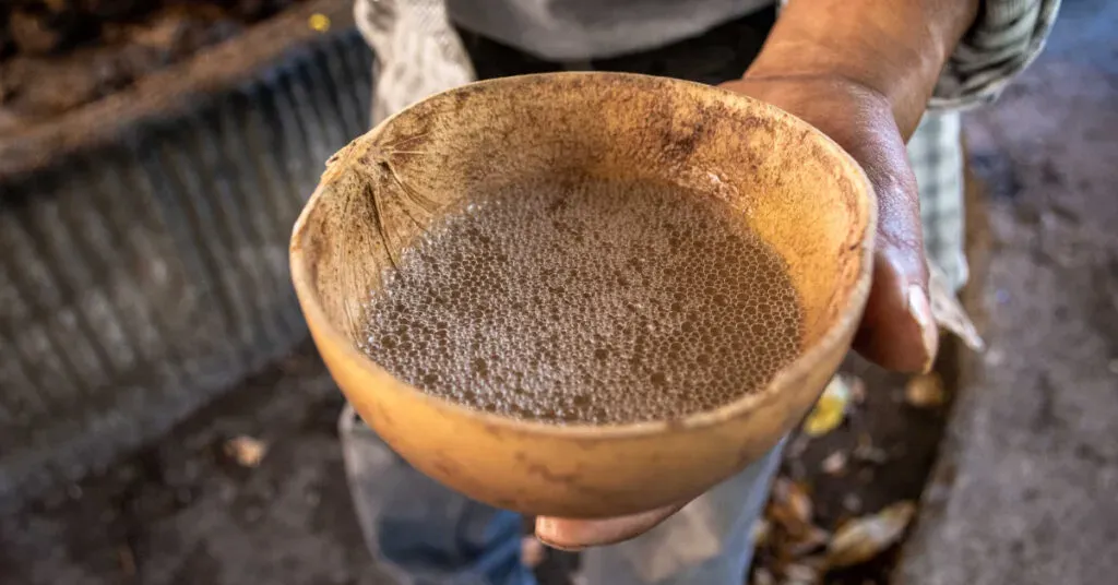 Variedades de mezcal oaxaqueño servidas para degustación