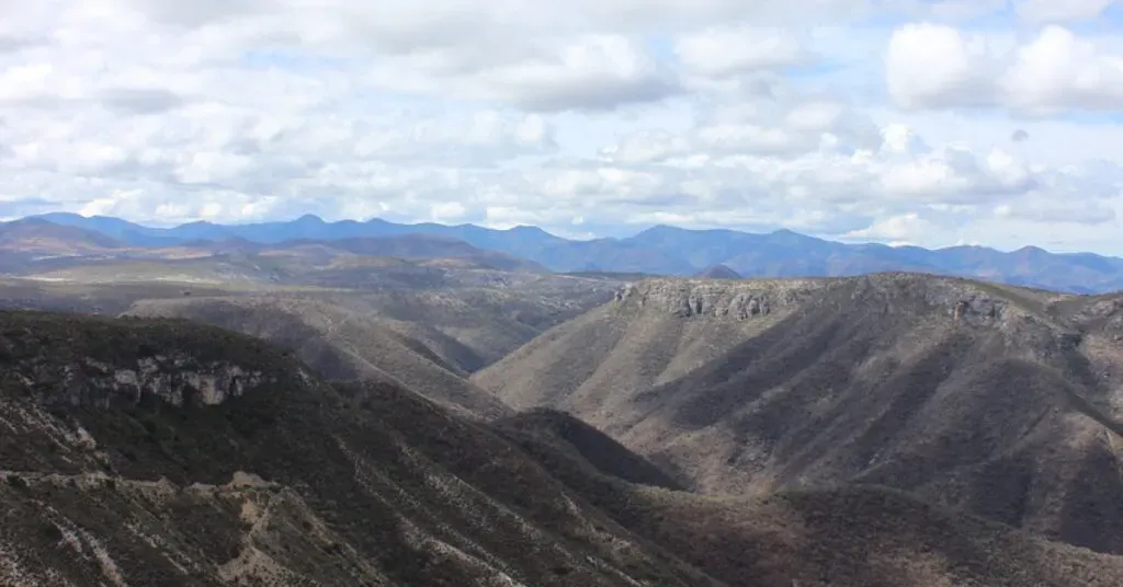 Sendero entre bosques nubosos de la Sierra Norte de Oaxaca