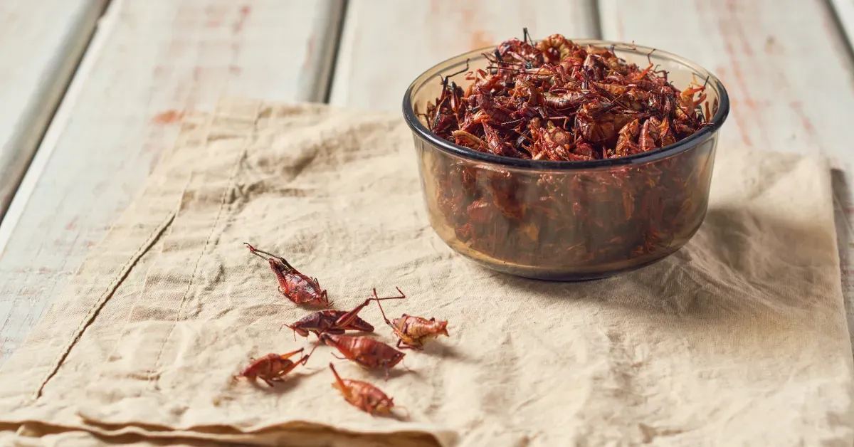Chapulines de Oaxaca: Qué Son, Cómo se Preparan y Dónde Probarlos