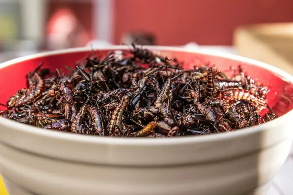 Primer plano de chapulines crujientes en un recipiente tradicional