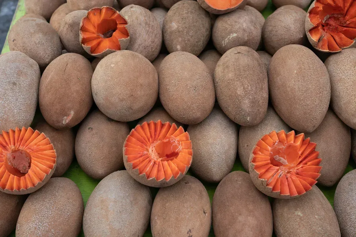 El Tejate en Oaxaca: Su Ingrediente Misterioso
