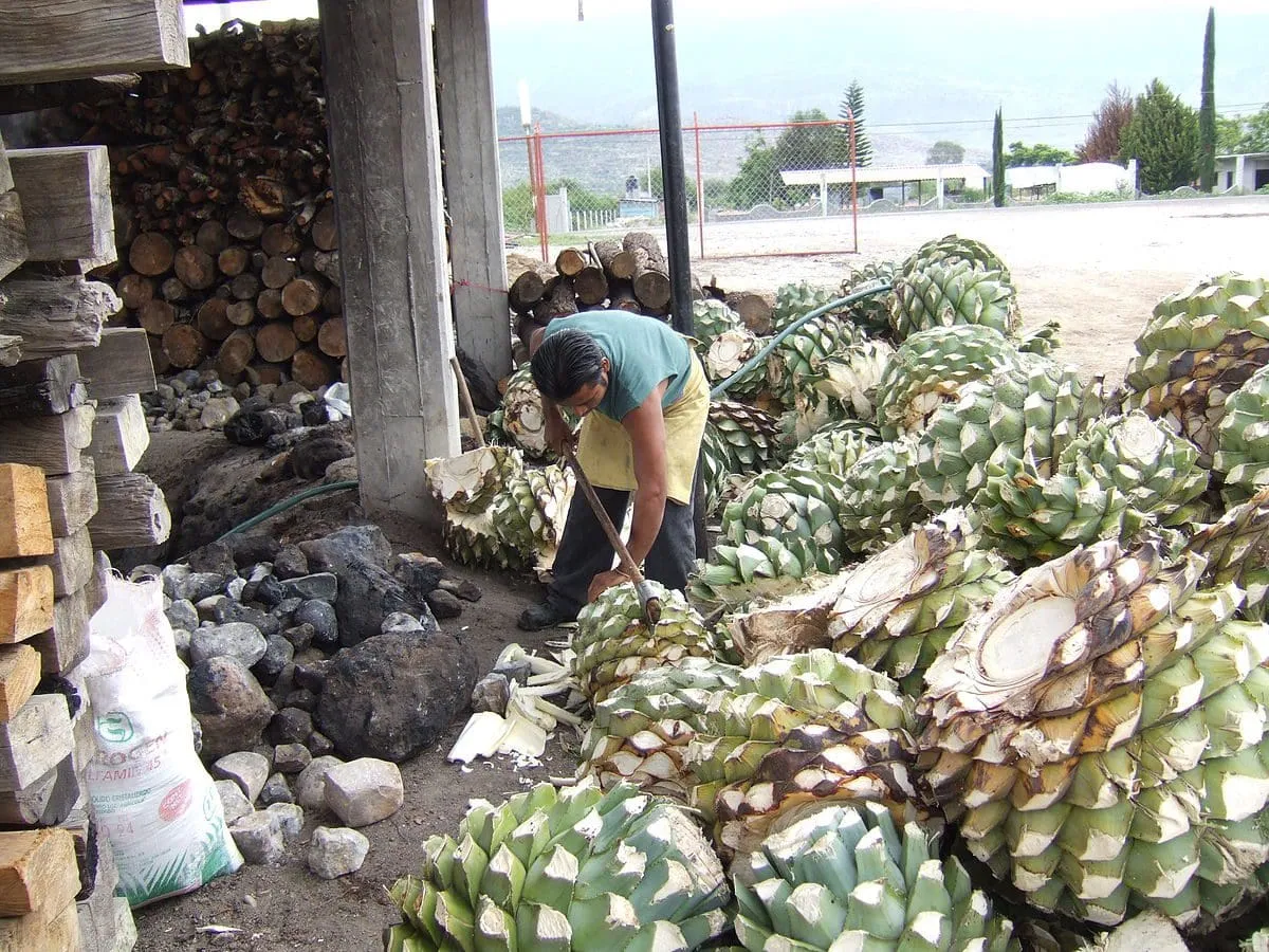 Playas de Puerto Escondido: 10 Lugares Imperdibles